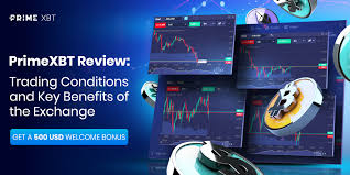 The Ultimate Guide to the PrimeXBT Broker The Ultimate Guide to the PrimeXBT Broker